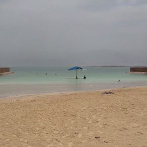 Meet your Posher, Mia